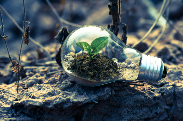 The Power of Emotional Intelligence